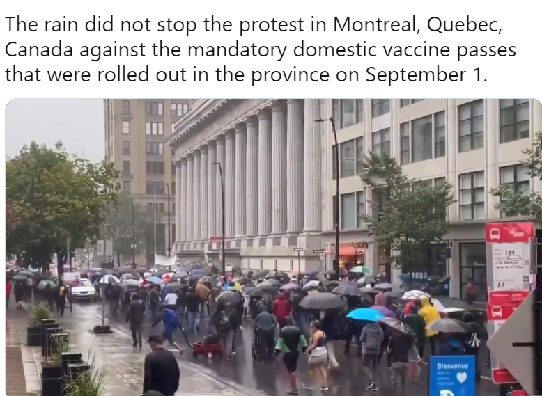 现场! 加拿大总理特鲁多被打! 出门遭围攻 乱石砸后脑 抗议者飙脏话竖中指 一片混乱！ 新闻 第14张