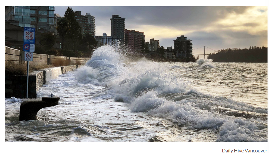 恐怖! 10级暴风横扫温哥华海岸 华人喜爱栈桥被拍碎! 公园海滩全淹! 新闻 第3张