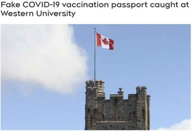 惊爆! 加拿大华人高价求人代打疫苗 1针1000元! 论坛超火爆 有人阳性了都不打! 新闻 第9张