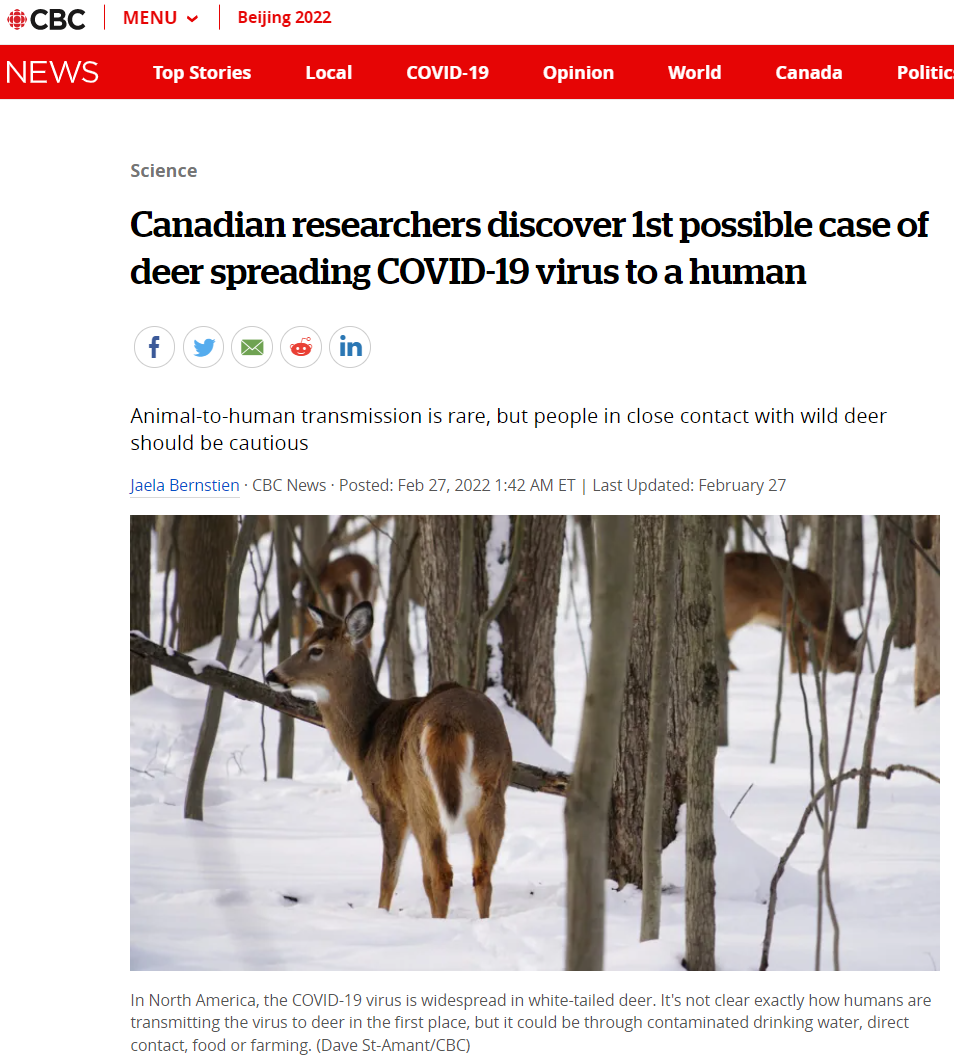 惊! 加拿大首例新冠动物传人! 北美大规模感染 恐现更毒变种 专家: 人类厄运! 新冠疫情 第1张