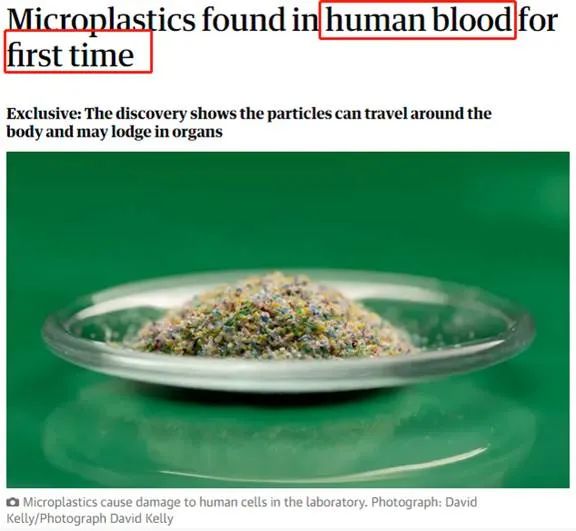 惊爆! 人类1周吃掉1张信用卡 血管首次发现微塑料! 专家: 触发癌症开关! 新闻 第13张