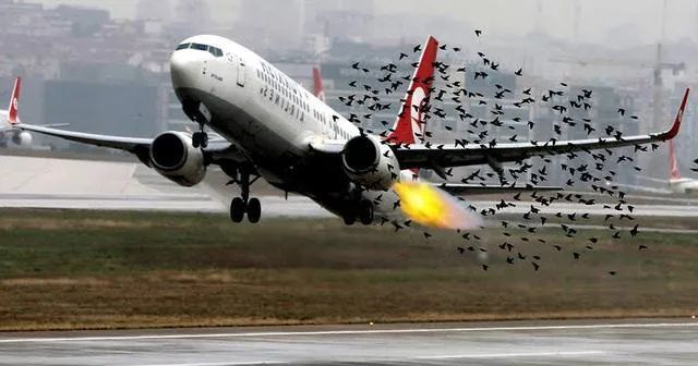 突发! 一架载有185人的民航客机高空起火 紧急迫降 惊悚视频曝光 乘客: 飞机在狂震! 新闻 第13张