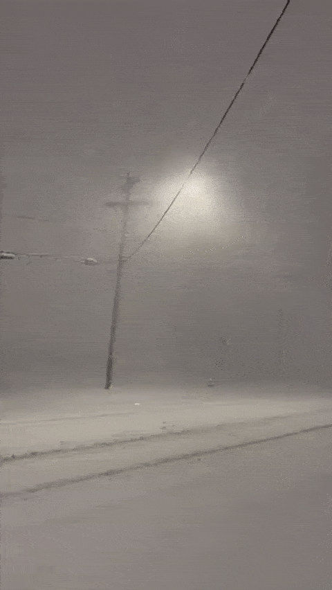 “雷霆暴雪”狂袭美加 1.2米大雪全城瘫痪 电闪雷鸣 整夜无眠 加拿大涩涩发抖 生活 第8张